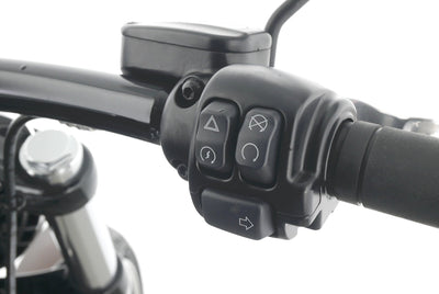 HARLEY DAVIDSON SOFTAIL BREAKOUT 114