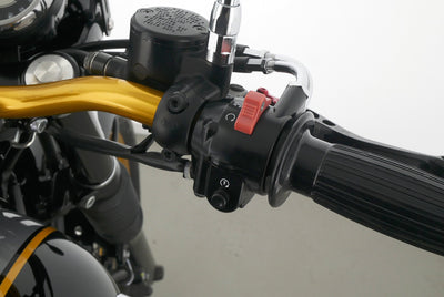 KAWASAKI W 800 SPECIAL EDITION