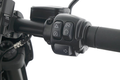 HARLEY DAVIDSON SOFTAIL FAT BOB 114