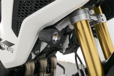 TRIUMPH TIGER 1200 RALLY PRO