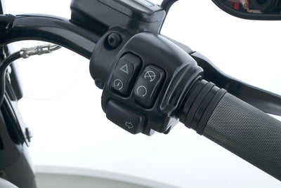 HARLEY DAVIDSON SOFTAIL SLIM S