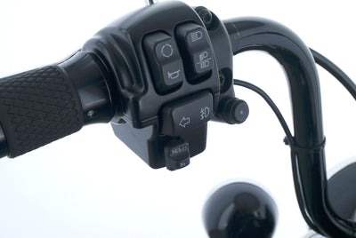 HARLEY DAVIDSON SOFTAIL HERITAGE CLASSIC