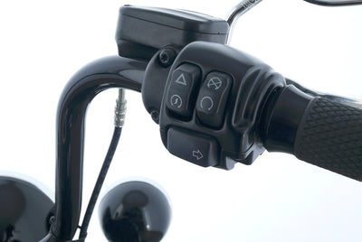 HARLEY DAVIDSON SOFTAIL HERITAGE CLASSIC