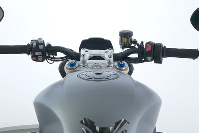 TRIUMPH SPEED TRIPLE 1200 RS