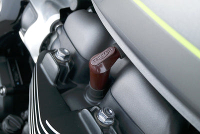 TRIUMPH SPEED TWIN 900