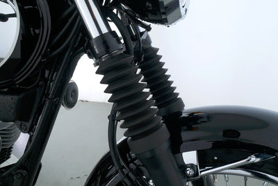 KAWASAKI MEDURO S1
