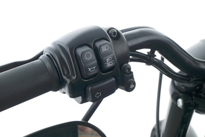 HARLEY DAVIDSON SPORTSTER XL 883 N IRON