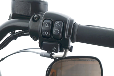 HARLEY DAVIDSON SPORTSTER XL 883 N IRON