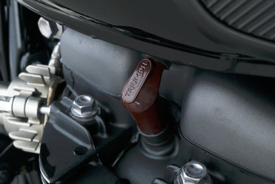 TRIUMPH SPEED TWIN 900