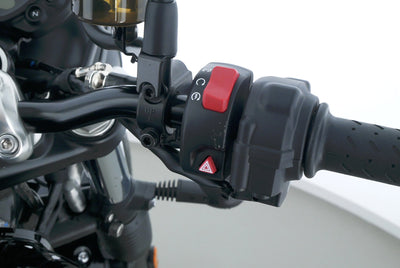 TRIUMPH SPEED TWIN 900