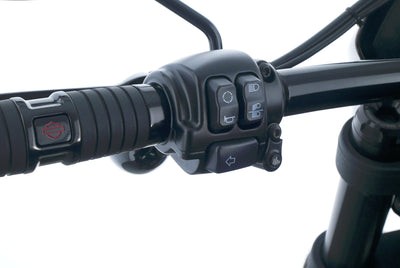 HARLEY DAVIDSON LOW RIDER S