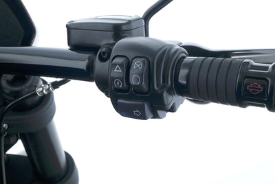 HARLEY DAVIDSON LOW RIDER S