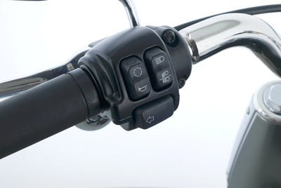HARLEY DAVIDSON SOFTAIL FAT BOY 114