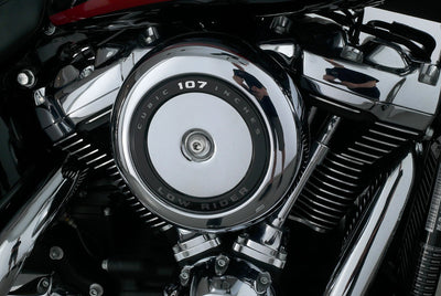 HARLEY DAVIDSON SOFTAIL LOW RIDER