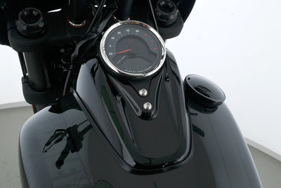 HARLEY DAVIDSON SOFTAIL FAT BOB 114