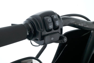 HARLEY DAVIDSON SOFTAIL FAT BOB 114