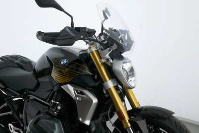 BMW R 1250 R