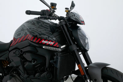 DUCATI MONSTER
