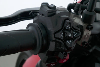 DUCATI MONSTER V2 +