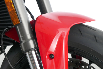 DUCATI MONSTER V2 +