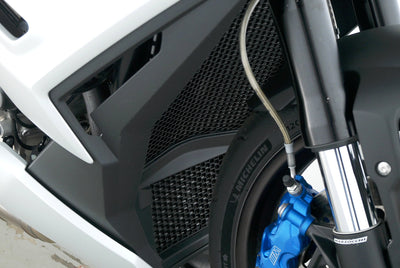 BMW M1000 R