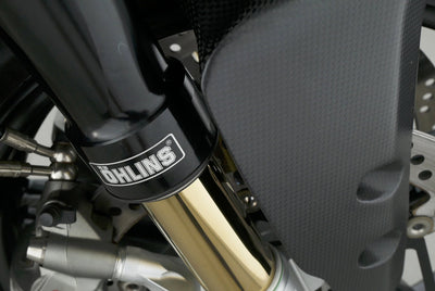 DUCATI 1299 SUPERLEGGERA