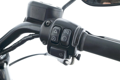 HARLEY DAVIDSON SPORTSTER XL 883 N IRON
