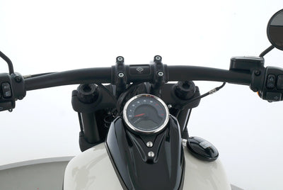 HARLEY DAVIDSON SOFTAIL FAT BOB 114