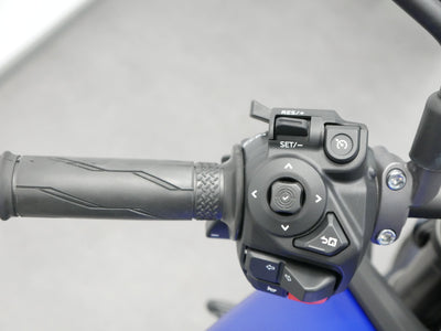 YAMAHA MT 09 YAMT